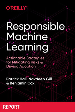 Episode 29: Responsible Machine Learning